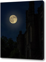   Постер Ночной пейзаж с полной луной и силуэтом старинных развалин