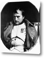    Наполеон (5)