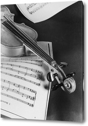    Скрипка и ноты