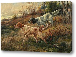  Хамельоны 67960