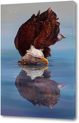    Орел и его отражение 