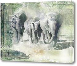   Постер Слоны на прогулке