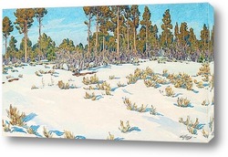    Снег.Лес в Гранд Каньоне