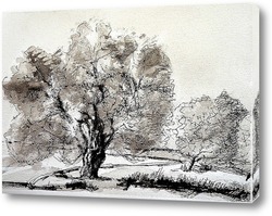   Картина Оливковое дерево