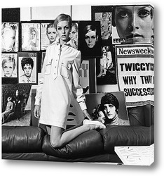   Постер Twiggy