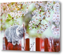    котенок в цветущем саду