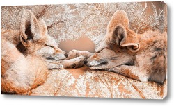    Влюбленные лисички