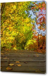   Постер Деревянная дорожка, в осеннем парке