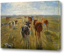    Крупный рогатый скот на острове Сальтхольм, 1890