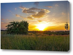  Field and forest at sunset. Tree silhouettes close-up. Evening fog, twilight sky, moonlight. Dark spring landscape. Pastoral rural scene. Nature, seasons, ecology, weather. Panoramic view, copy space