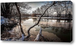    Река Цна, Первые лучики солнца