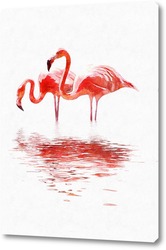   Постер Пара фламинго