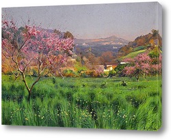   Картина Кизил в цвету