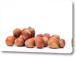   Постер Fresh hazelnut isolated on white background