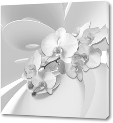    Орхидея 3D