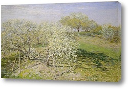  Картина Весна (цветение фруктовых деревьев)