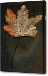    Осенний лист
