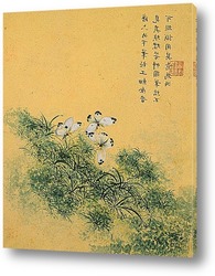  Zhou Xianji