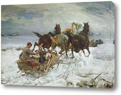  Леопард 24327