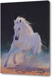    Белая лошадь