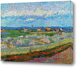  Дома в Овере, 1890 01