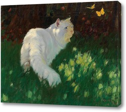   Картина Белая кошка и бабочки 