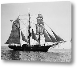  ZW001051