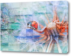   Постер Божья коровка