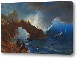    Тюлени на скалах 1873