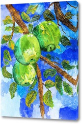  Яблоко в разрезе на цветном фоне