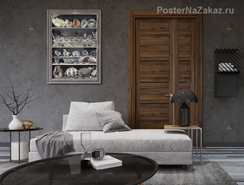 Модульная картина Коллекция раковин