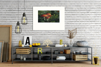 Модульная картина Акварель "Мухоморы"