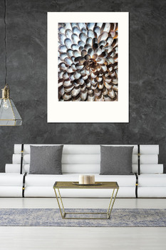 Модульная картина Ракушки