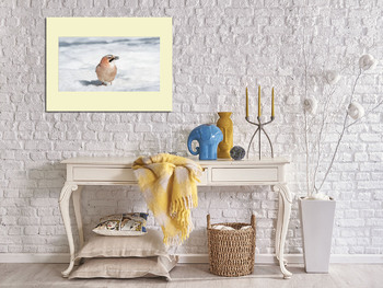 Модульная картина Close-up of an Eurasian Jay (Garrulus glandarius) on a tree in winter