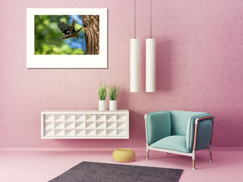 Модульная картина Дятел