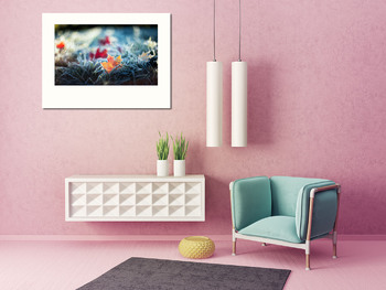 Модульная картина Кленовые листья в траве с инеем