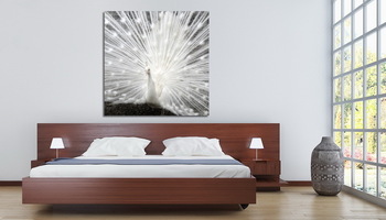 Модульная картина Не такая, как все.