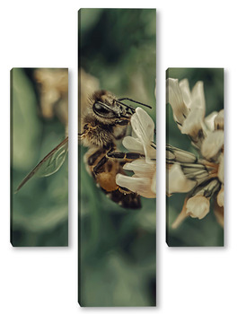 Модульная картина Пчела на цветке