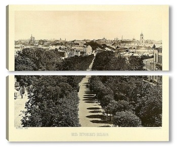  Вид улицы Кузнецкий мост,1888