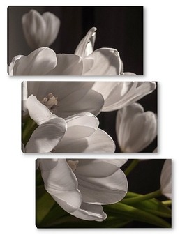Модульная картина тюльпаны