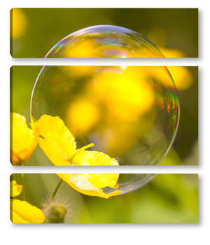 Модульная картина Мыльный пузырь на цветке