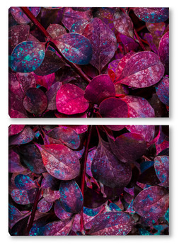 Модульная картина Ветка с лиловыми листочками
