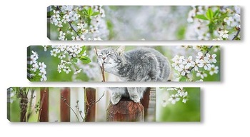 Модульная картина кошка и вишня