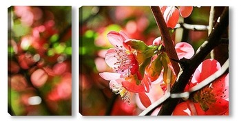 Модульная картина Весеннее цветение