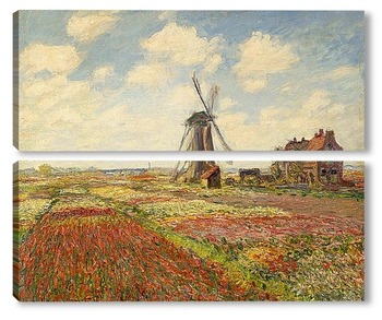  Белые Азалии в горшке, 1882-85