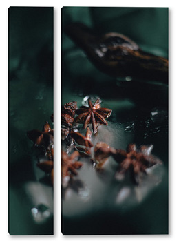 Модульная картина бадьян