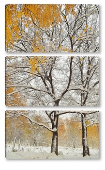 Модульная картина Зимняя осень