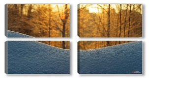 Модульная картина Зимний, солнечный день в лесу