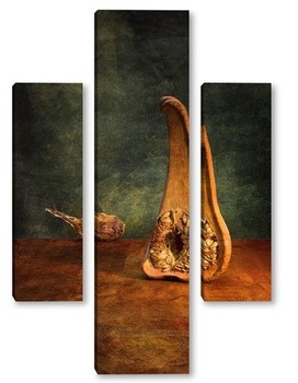 Модульная картина Анатомия тыквы. Тыква и засушенная редька