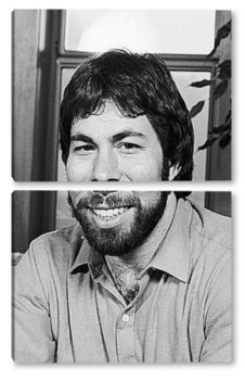 Модульная картина Steve Wozniak